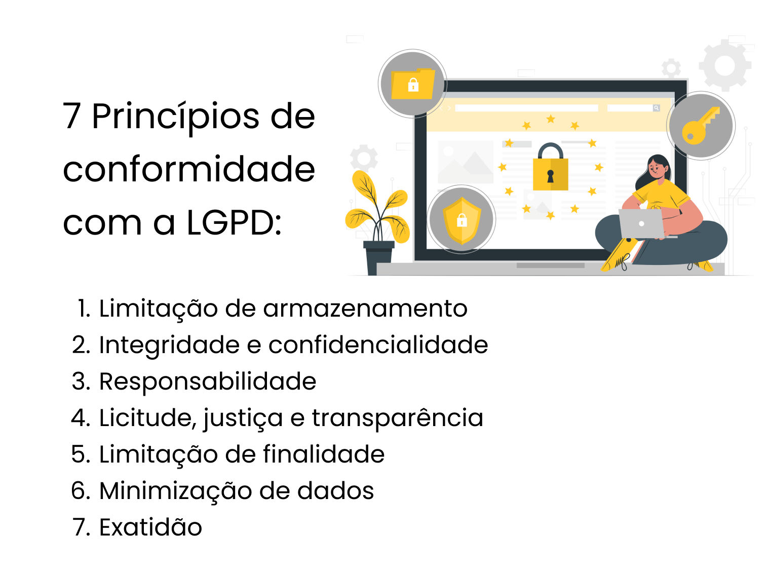 7 Princípios LGPD